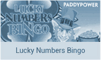 How to Play Lucky Numbers Bingo